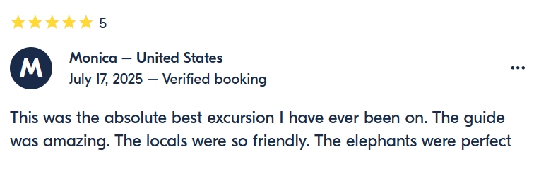 pon elephpant chiangmai thailand reviews